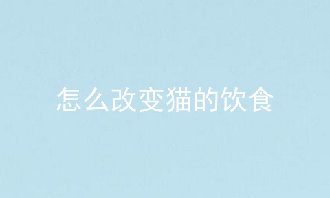 怎么改变猫的饮食