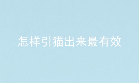 怎样引猫出来最有效