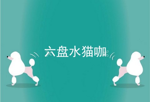 六盘水猫咖