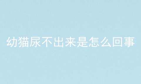 幼猫尿不出来是怎么回事