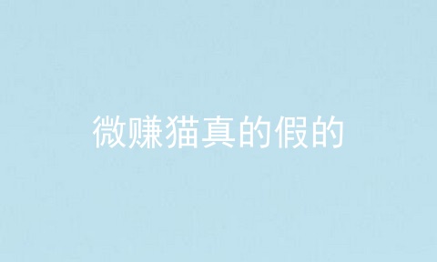 微赚猫真的假的