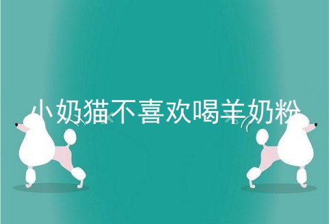 小奶猫不喜欢喝羊奶粉