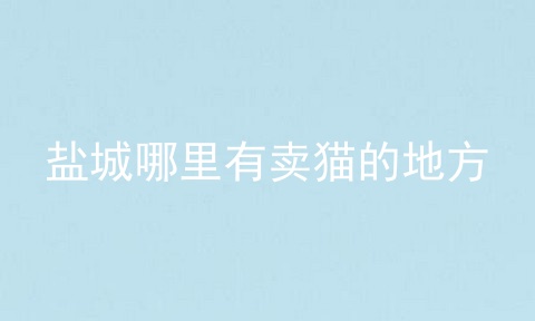 盐城哪里有卖猫的地方