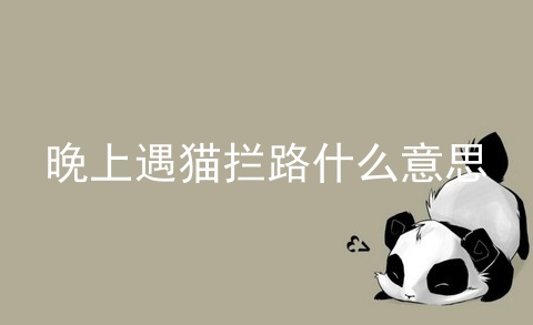 晚上遇猫拦路什么意思