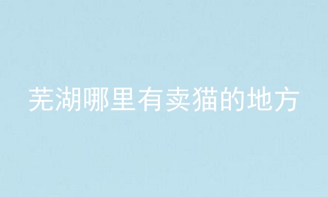 芜湖哪里有卖猫的地方