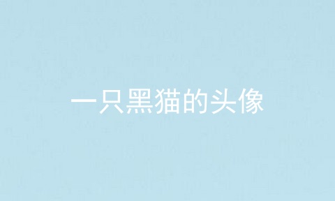一只黑猫的头像