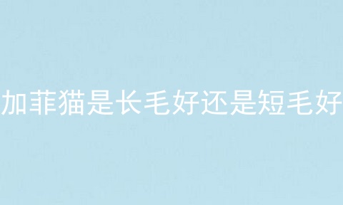 加菲猫是长毛好还是短毛好