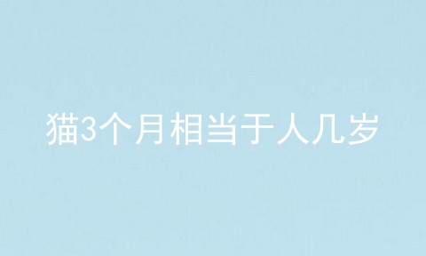 猫3个月相当于人几岁