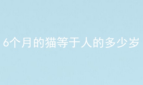 6个月的猫等于人的多少岁