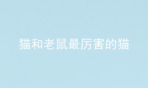 猫和老鼠最厉害的猫
