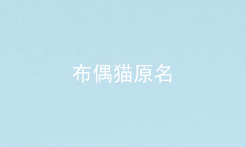 布偶猫原名