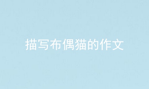 描写布偶猫的作文