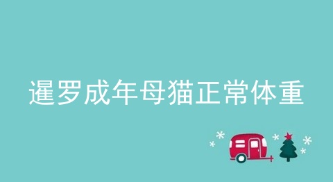 暹罗成年母猫正常体重