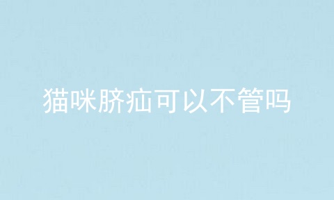 猫咪脐疝可以不管吗