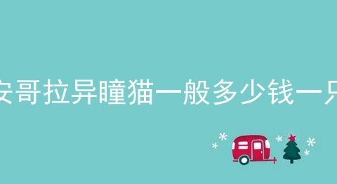 安哥拉异瞳猫一般多少钱一只