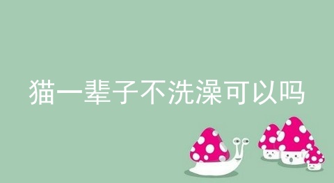 猫一辈子不洗澡可以吗