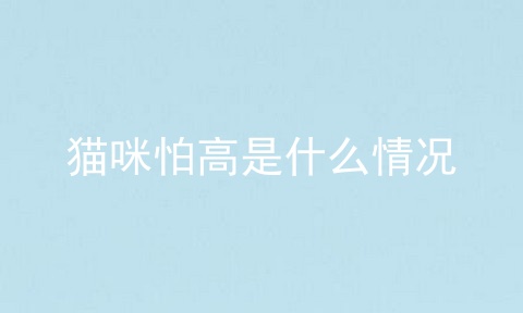 猫咪怕高是什么情况
