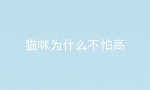 猫咪为什么不怕高