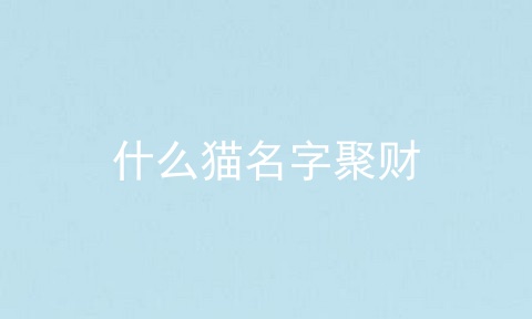 什么猫名字聚财