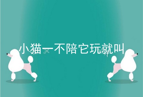 小猫一不陪它玩就叫