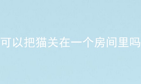 可以把猫关在一个房间里吗