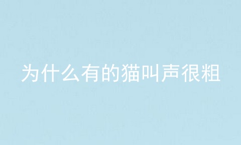 为什么有的猫叫声很粗
