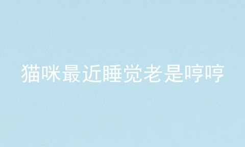 猫咪最近睡觉老是哼哼