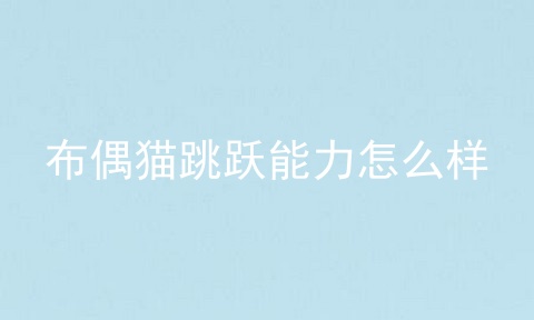 布偶猫跳跃能力怎么样