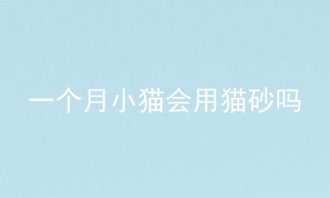 一个月小猫会用猫砂吗