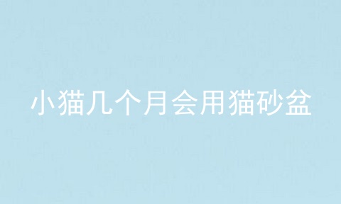小猫几个月会用猫砂盆