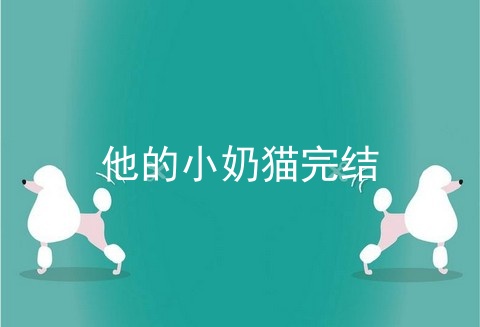 他的小奶猫完结
