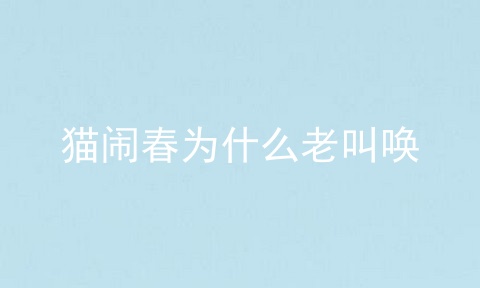 猫闹春为什么老叫唤