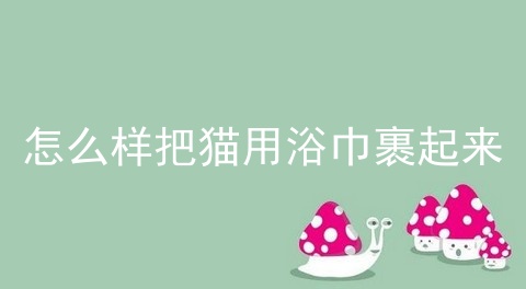 怎么样把猫用浴巾裹起来