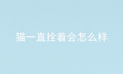 猫一直拴着会怎么样