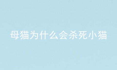 母猫为什么会杀死小猫