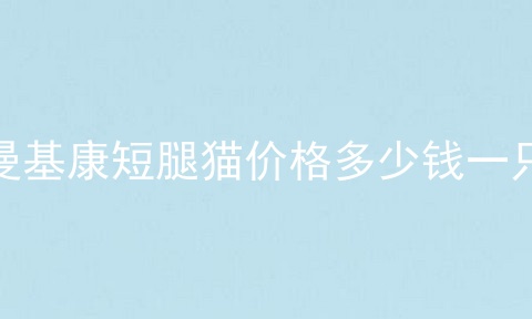 曼基康短腿猫价格多少钱一只