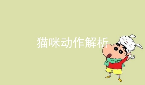 猫咪动作解析