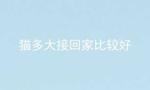 猫多大接回家比较好