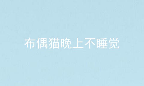 布偶猫晚上不睡觉