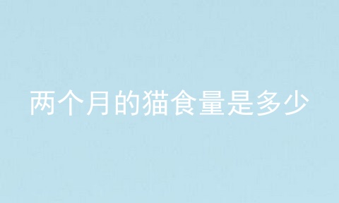 两个月的猫食量是多少