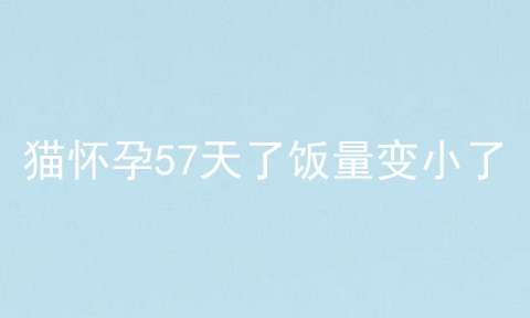 猫怀孕57天了饭量变小了