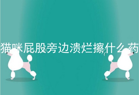 猫咪屁股旁边溃烂擦什么药