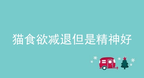 猫食欲减退但是精神好