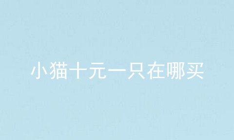 小猫十元一只在哪买