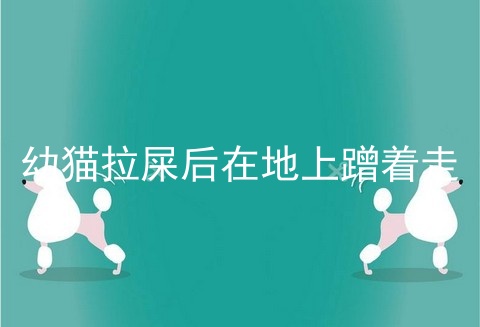 幼猫拉屎后在地上蹭着走