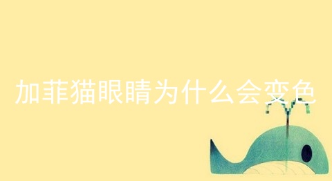 加菲猫眼睛为什么会变色