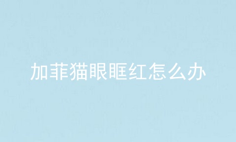 加菲猫眼眶红怎么办
