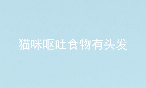 猫咪呕吐食物有头发