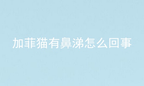 加菲猫有鼻涕怎么回事