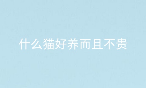 什么猫好养而且不贵